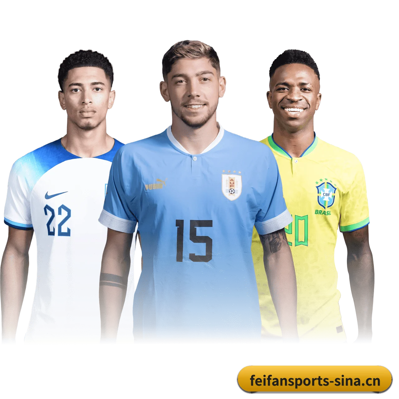 非凡体育 APP - feifansports